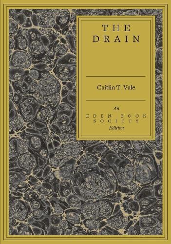 The Drain by Caitlin T. Vale