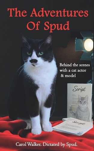 The Adventures of Spud
