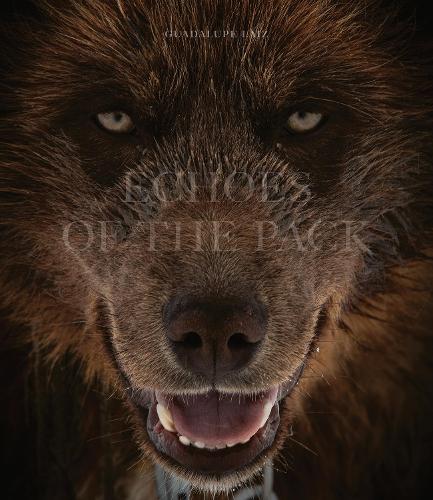 Echoes of the Pack