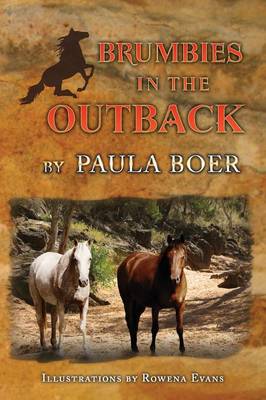 Brumbies in the Outback