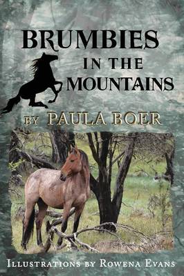 Brumbies in the Mountains