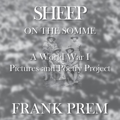 Sheep On The Somme
