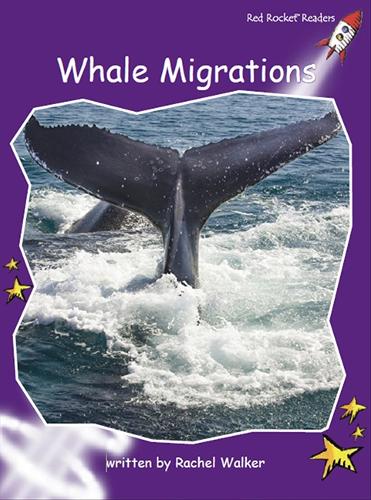 Whale Migrations