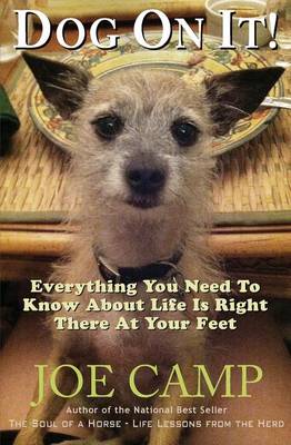Dog On It! - Everything You Need To Know About Life Is Right There At Your Feet