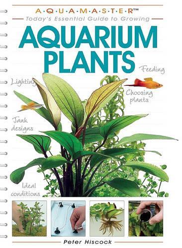 Aquarium Plants