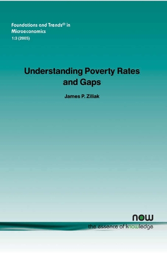 Understanding Poverty Rates and Gaps