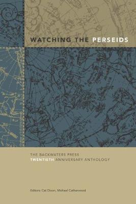 Watching the Perseids