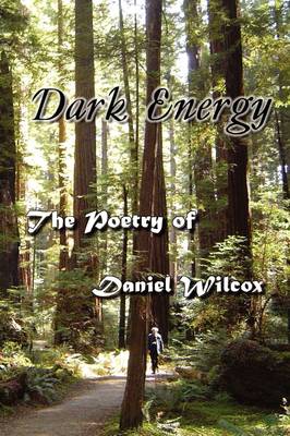 Dark Energy