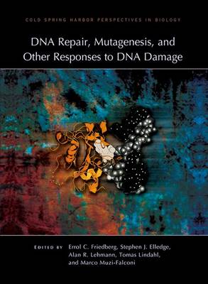 DNA Repair, Mutagenesis, and Other Responses to DNA Damage