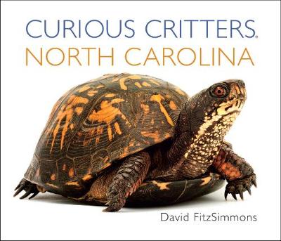 Curious Critters North Carolina