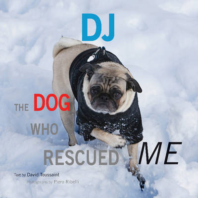 DJ