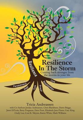 Resilience In The Storm