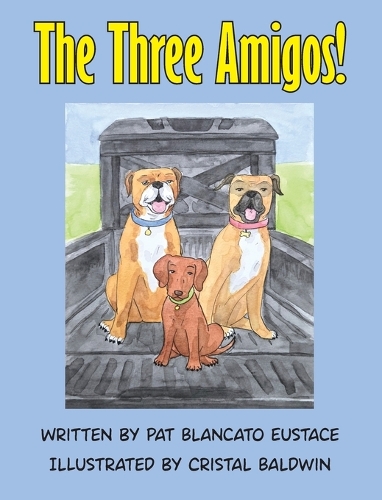 The Three Amigos!