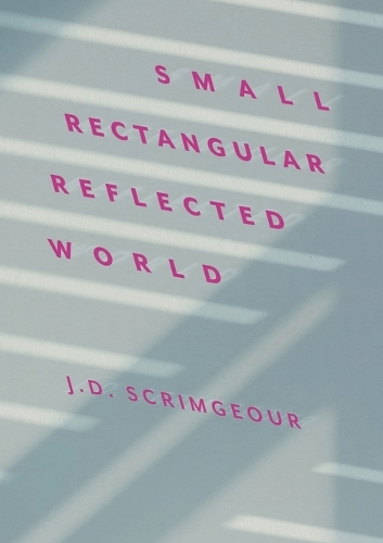 Small, Rectangular, Reflected World