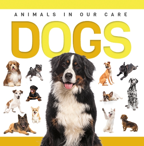 Dogs