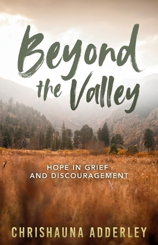 Beyond the Valley