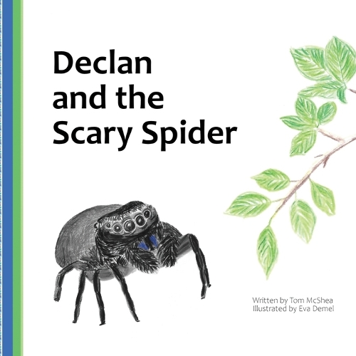 Declan and the Scary Spider