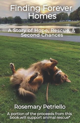 Finding Forever Homes