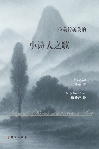 一位美轮美奂的小诗人之歌