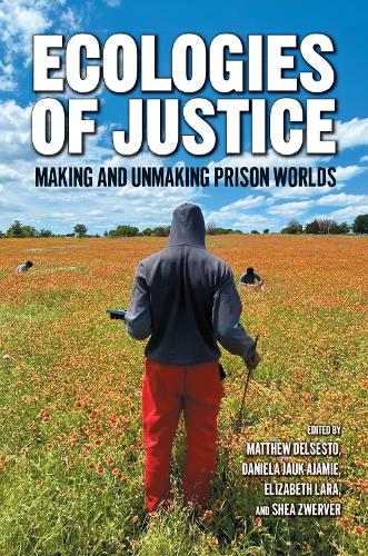 Ecologies of Justice