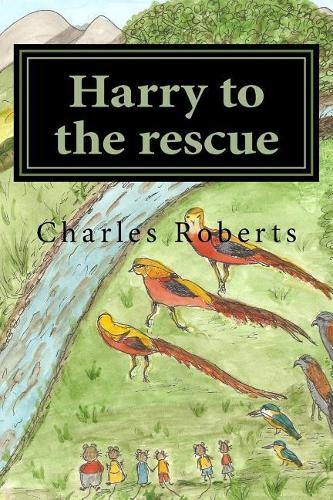 Harry to the rescue
