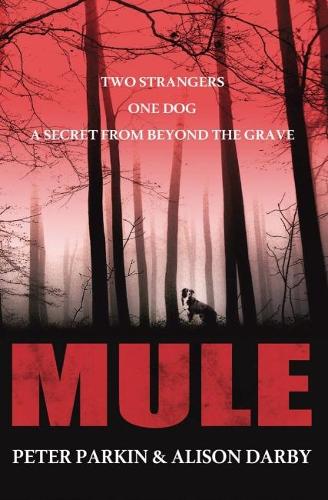 Mule