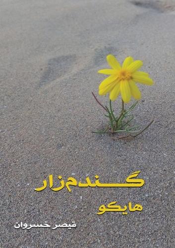 گندم زار