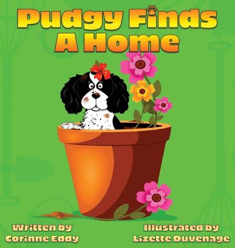 Pudgy Finds A Home