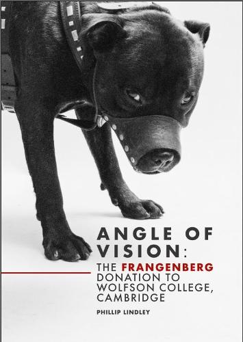 Angle of Vision