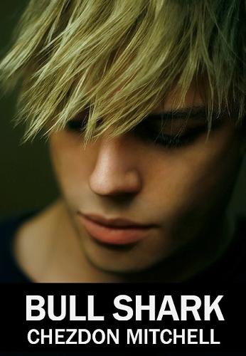 Bull Shark Part 1