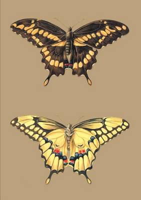 Carnet Lignï¿½, Papillons Cresphontes