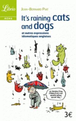It's raining cats and dogs et autres expressions idiomatiques anglaises