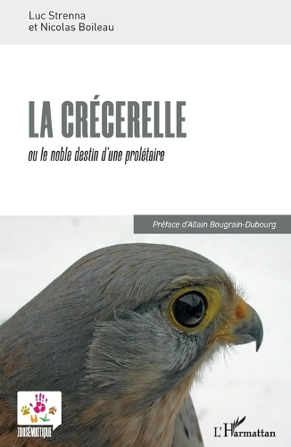 La crécerelle