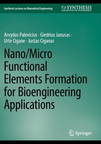 Nano/Micro Functional Elements Formation for Bioengineering Applications