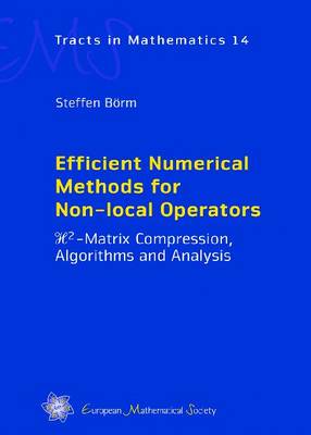 Efficient Numerical Methods for Non-Local Operators