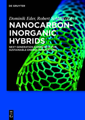 Nanocarbon-Inorganic Hybrids