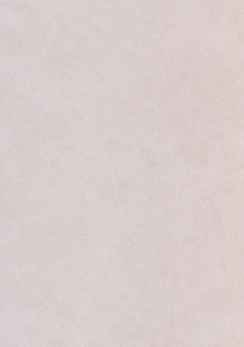 Dianea Oder Raehtselgedicht