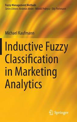Inductive Fuzzy Classification in Marketing Analytics