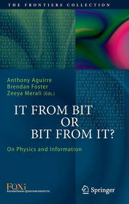 It From Bit or Bit From It?