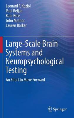 Large-Scale Brain Systems and Neuropsychological Testing