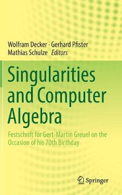 Singularities and Computer Algebra