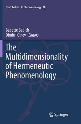The Multidimensionality of Hermeneutic Phenomenology