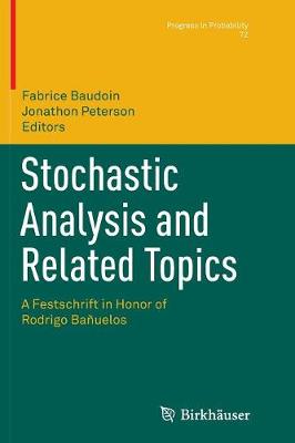 Stochastic Analysis and Related Topics