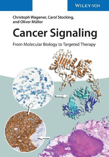 Cancer Signaling