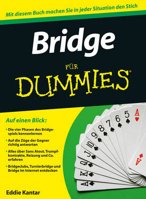 Bridge fur Dummies