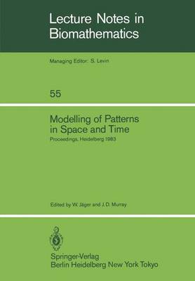 Modelling of Patterns in Space and Time