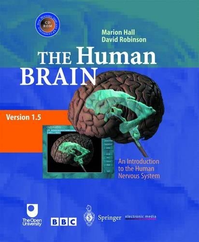 The Human Brain