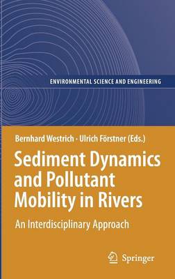 Sediment Dynamics and Pollutant Mobility in Rivers
