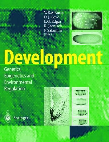 Development