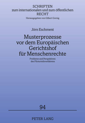 Musterprozesse VOR Dem Europaeischen Gerichtshof Fuer Menschenrechte